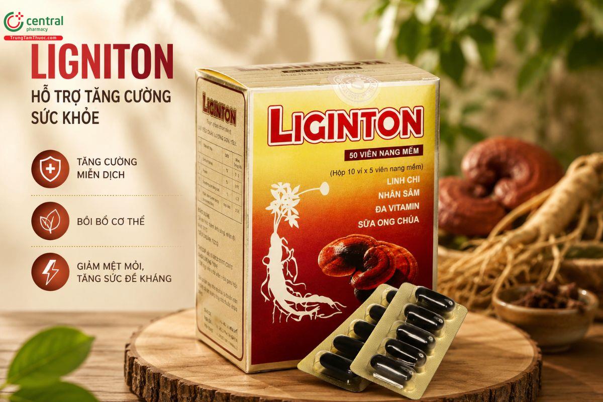 Liginton giúp tăng cường sức khỏe, giảm mệt mỏi, giúp tỉnh táo