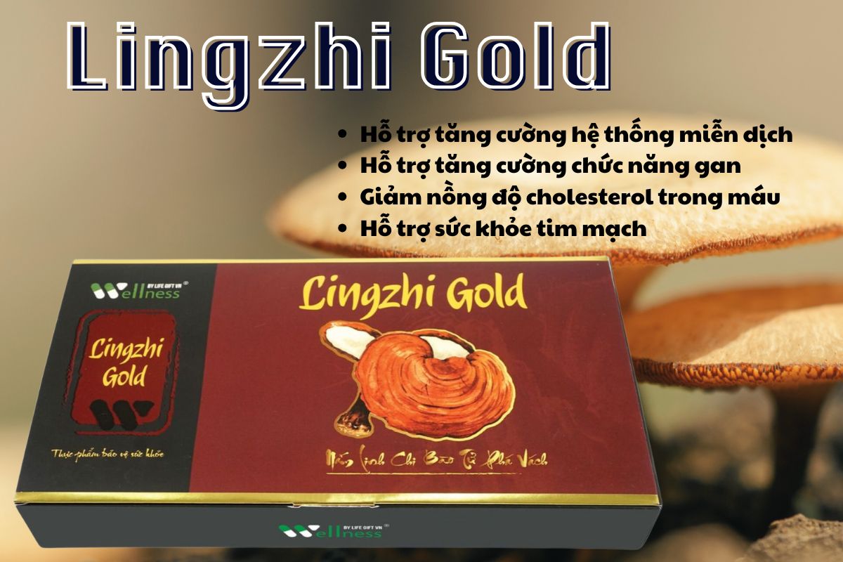 VIên uống Lingzhi Gold giúp tăng cường sức khoẻ và hỗ trợ sức khoẻ tim mạch