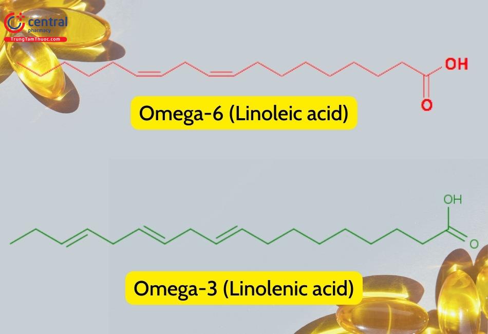 Phân biệt axit linolenic và axit linoleic