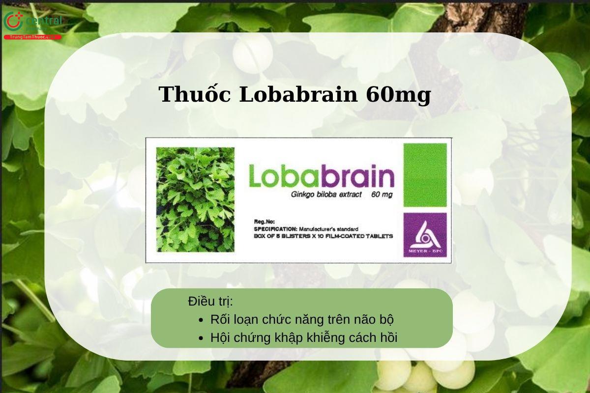 Chỉ định của thuốc Lobabrain 60mg