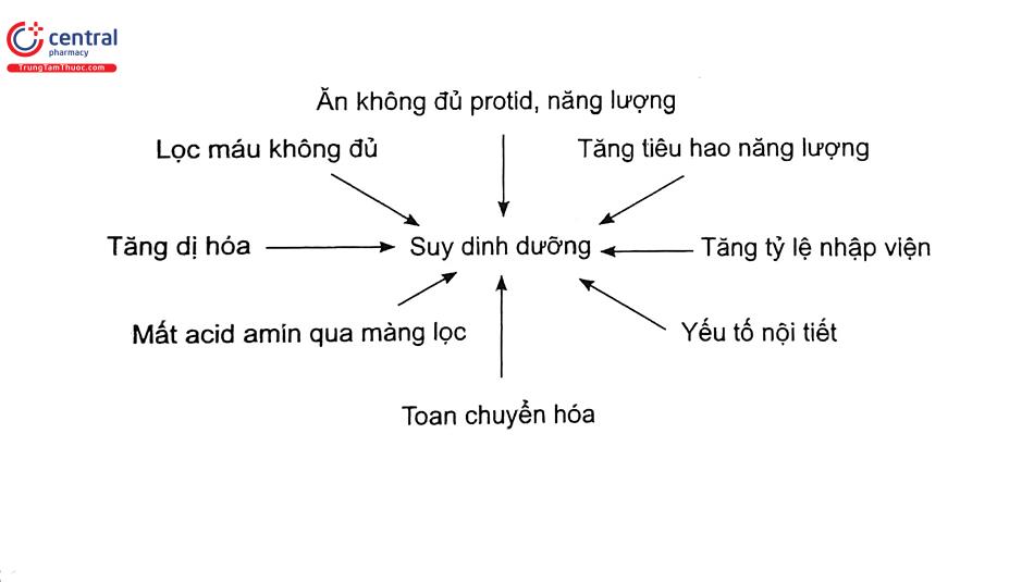 so đồ