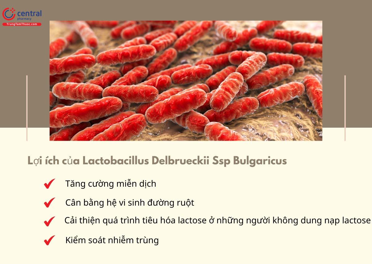 Lợi ích của Lactobacillus Delbrueckii Ssp Bulgaricus