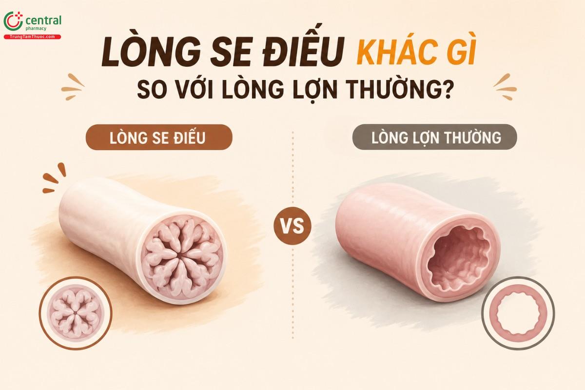 Lòng se điếu khác gì so với lòng lợn thường