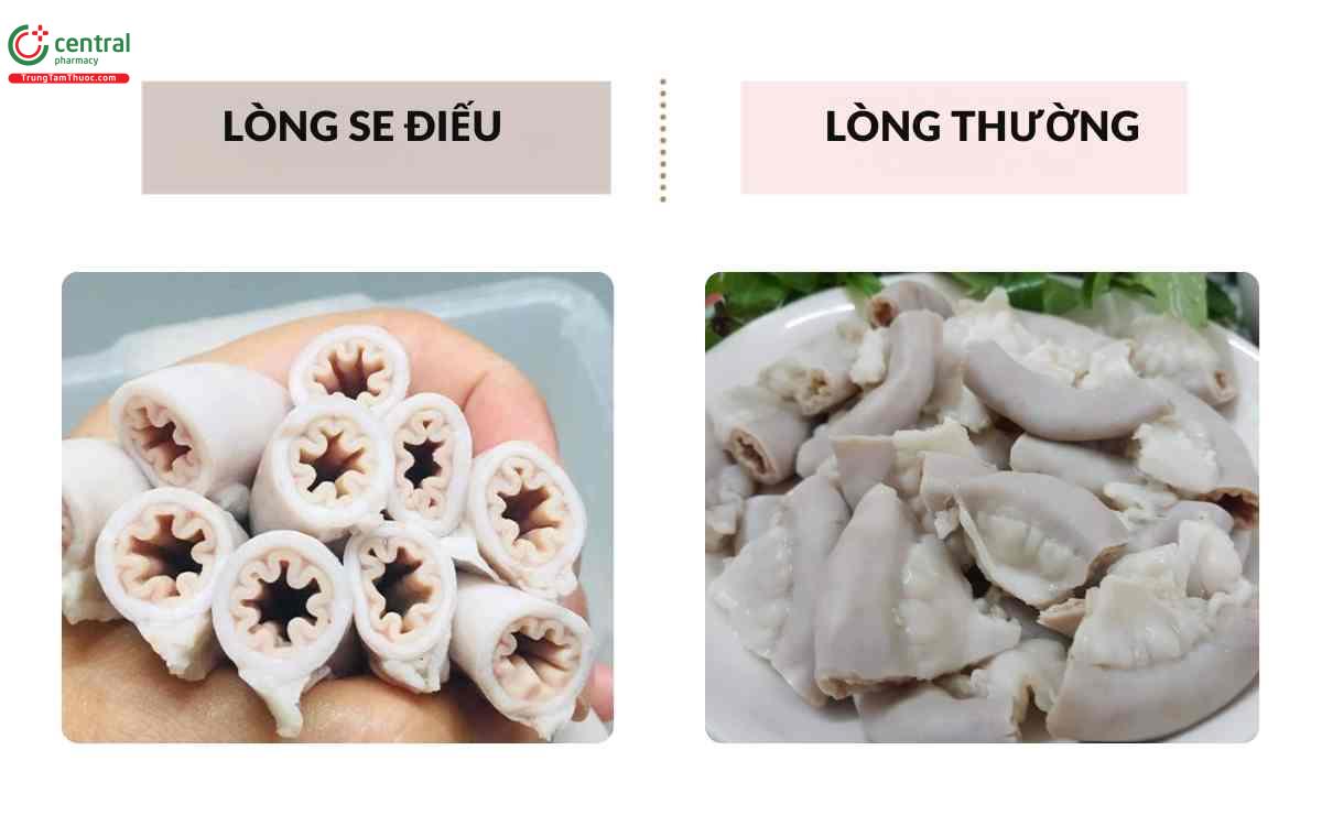 Lòng se điếu khác gì so với lòng lợn thường