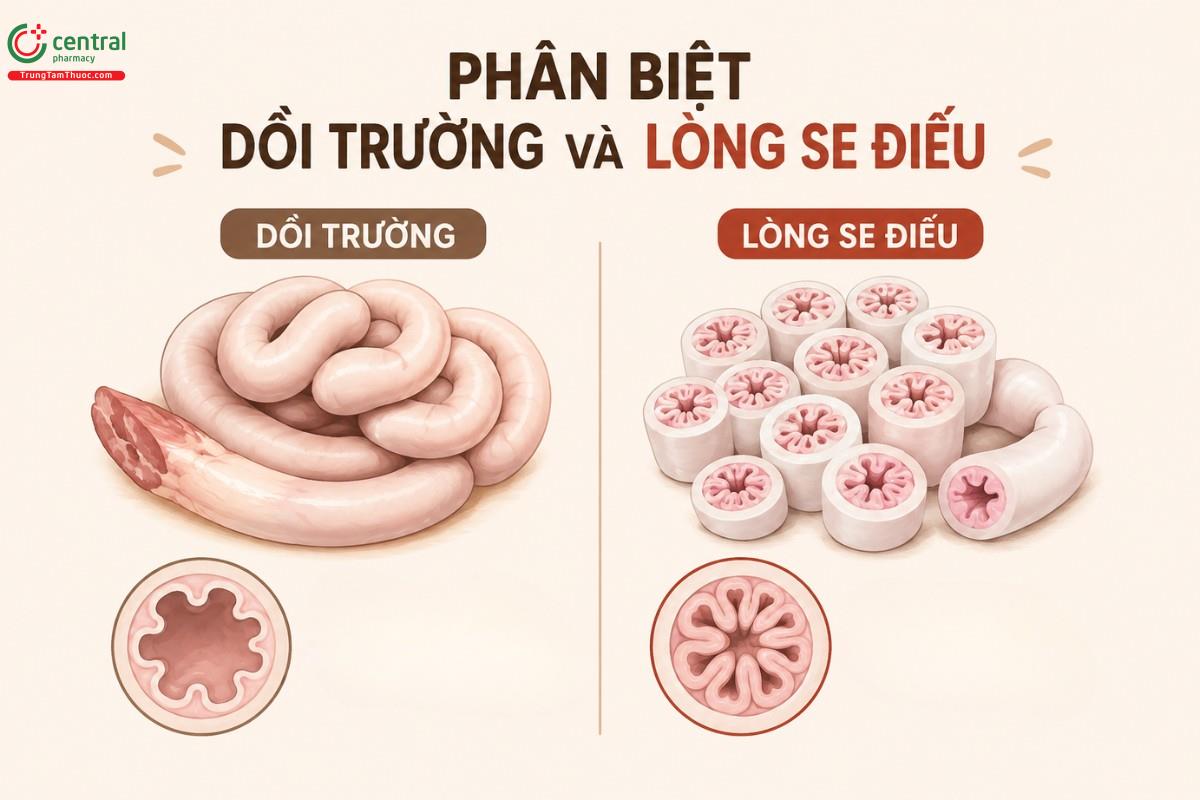 Phân biệt dồi trường và lòng se điếu