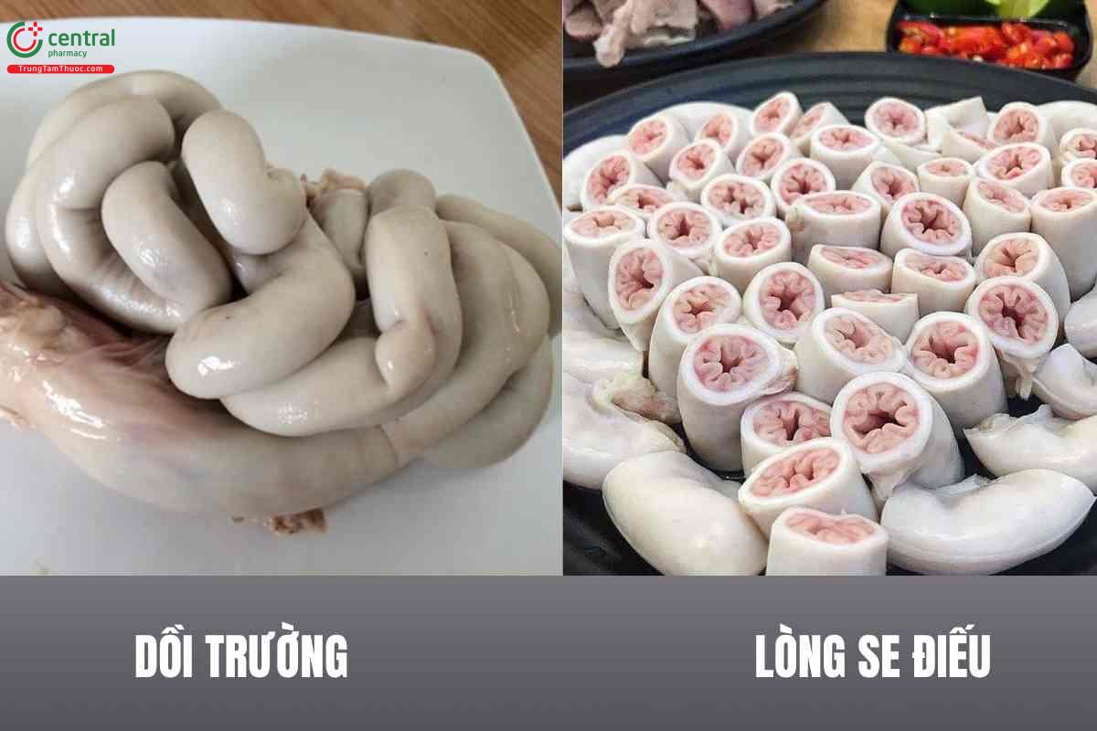 Phân biệt dồi trường và lòng se điếu