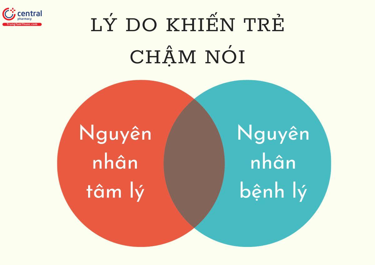 Lý do khiến trẻ chậm nói