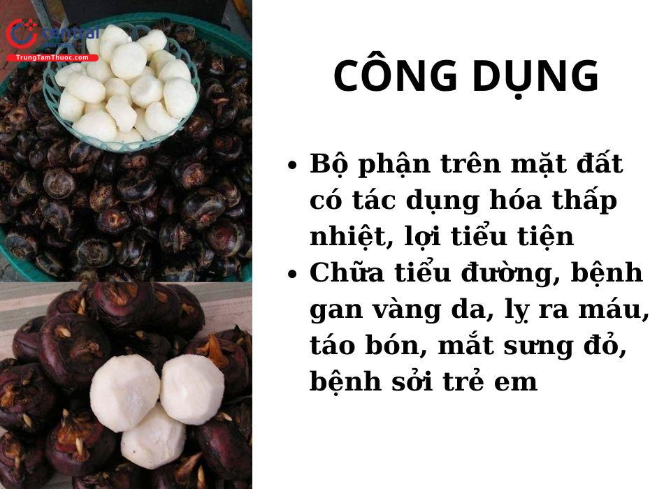 Công dụng