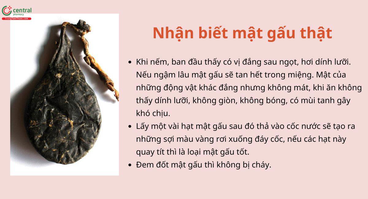 Cách nhận biết mật gấu thật