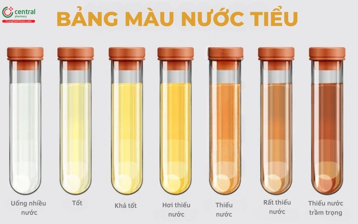 Bảng màu nước tiểu