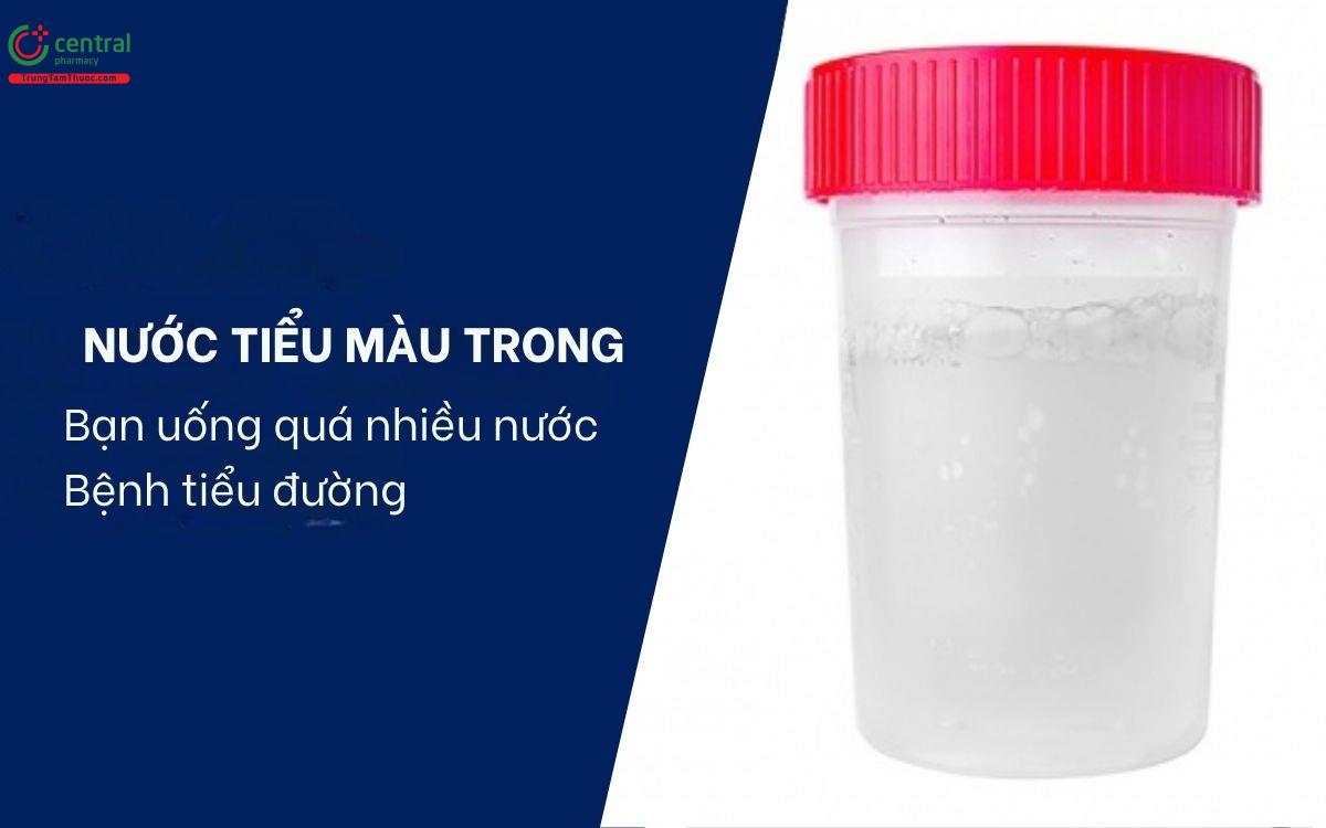 Nước tiểu trong suốt