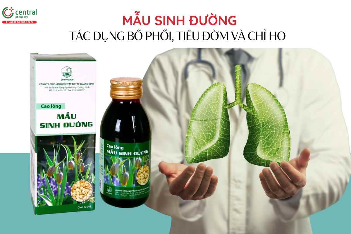 Chỉ định của Mẫu sinh đường