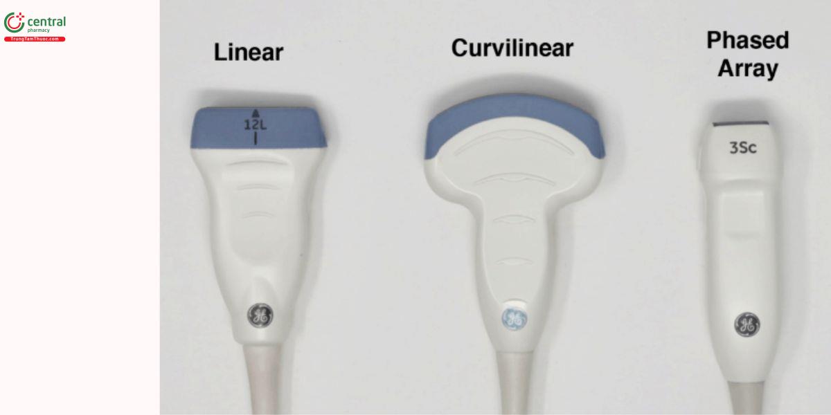 Các đầu dò phổ biến trong POCUS