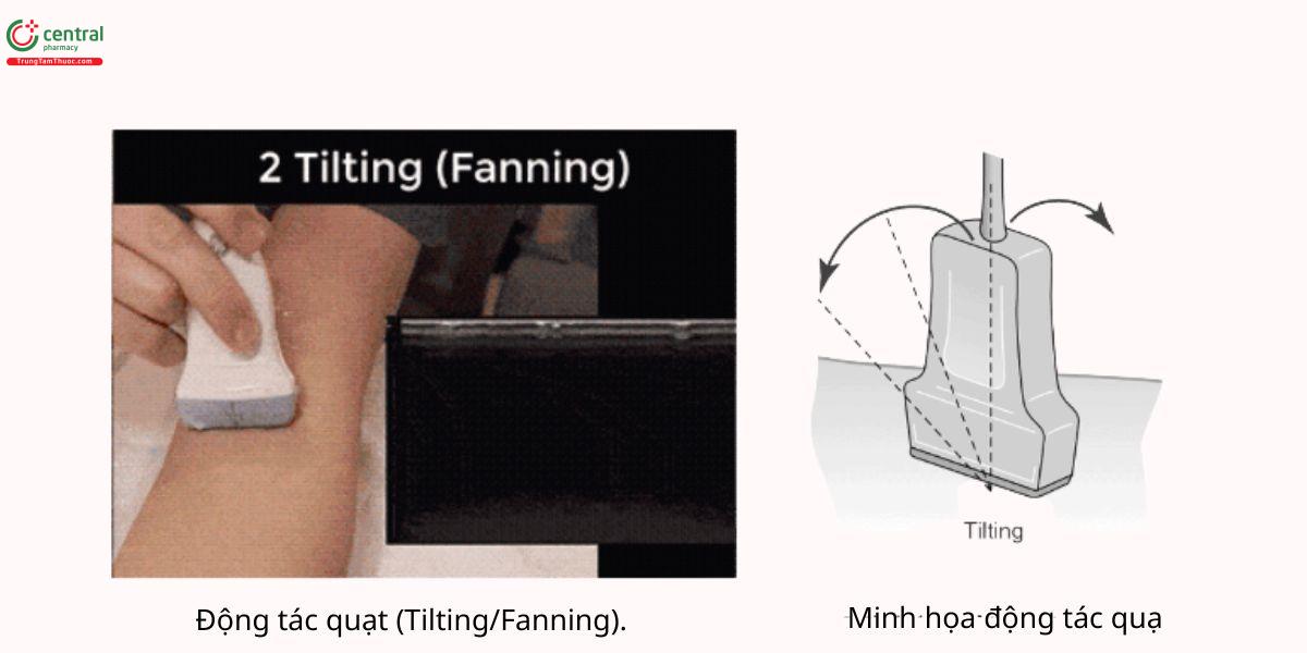 Động tác quạt (Tilting/Fanning)