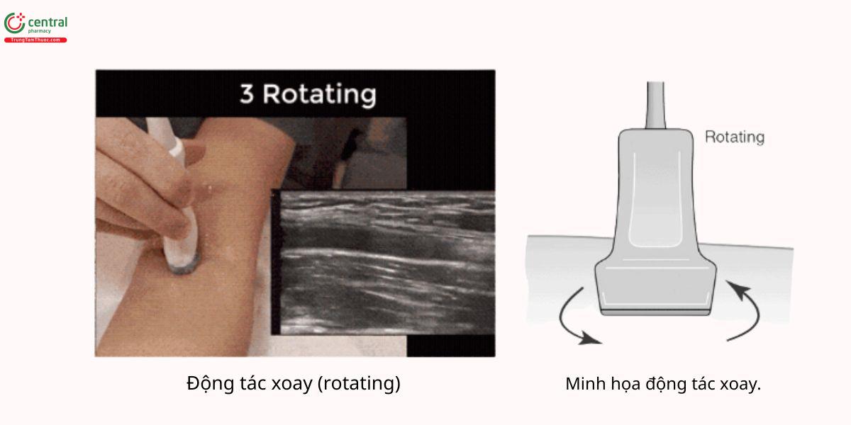 Động tác xoay (Rotating)