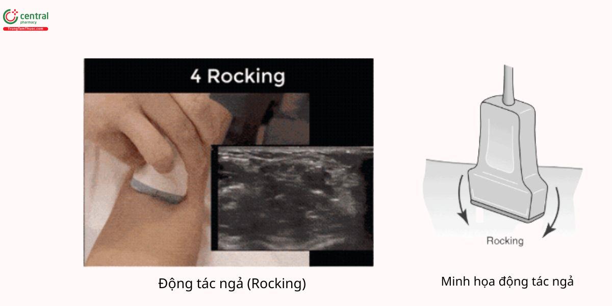 Động tác ngả (Rocking)