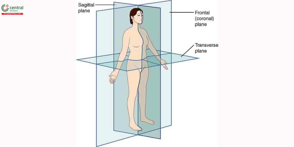 Các loại mặt phẳng