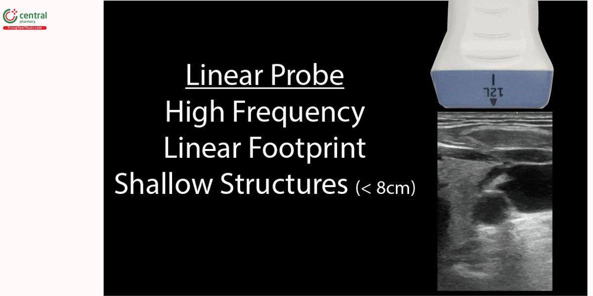Đầu dò "linear"