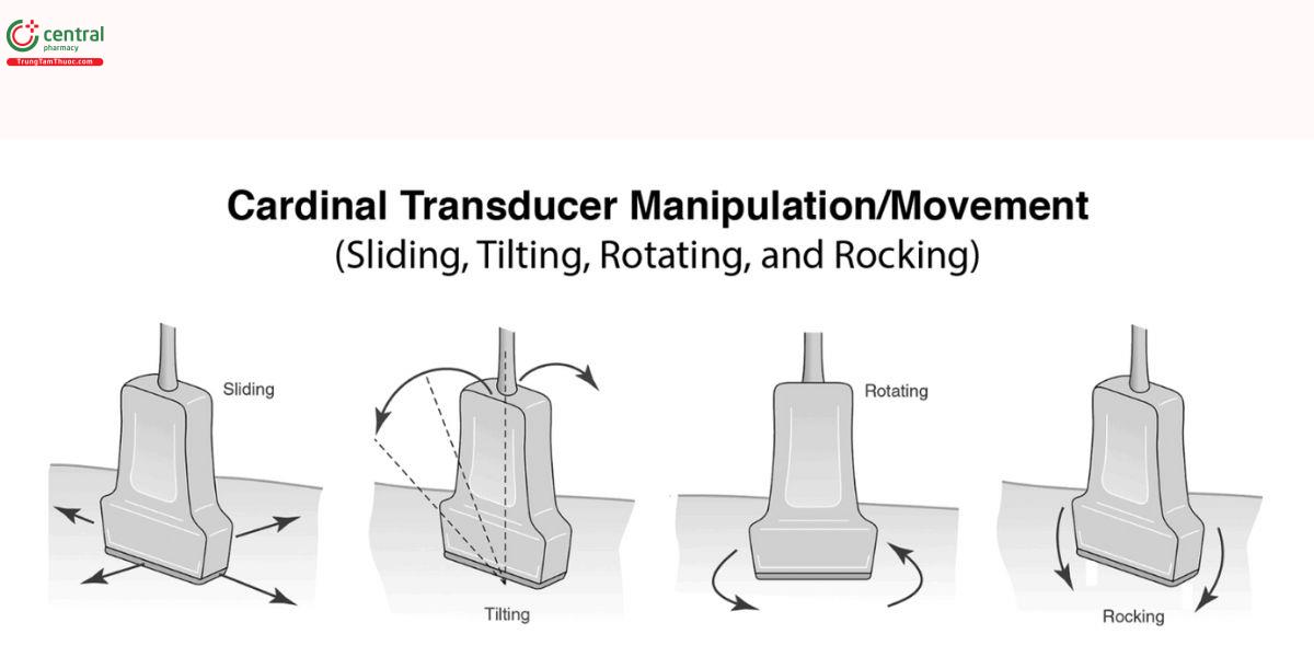 Bốn động tác sử dụng đầu dò: trượt (sliding), quạt (tilting), xoay (rotating), ngả (rocking).