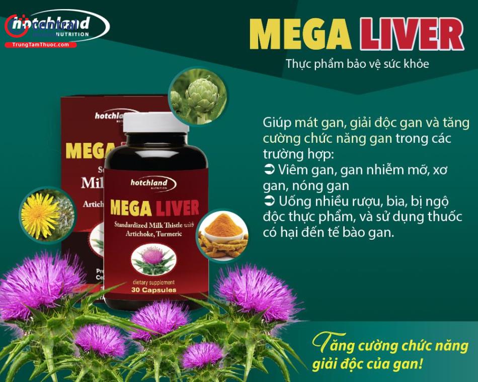 Hình 2: Công dụng của Mega Liver