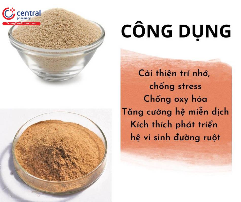 Một số công dụng của men bia