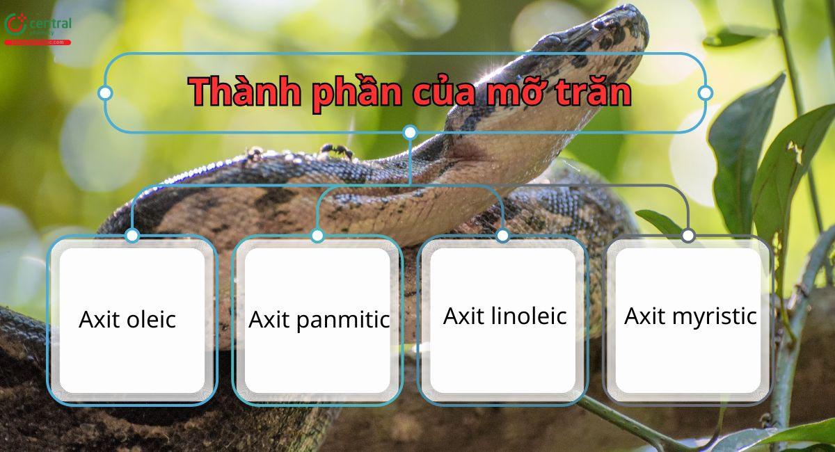 Thành phần của mỡ trăn