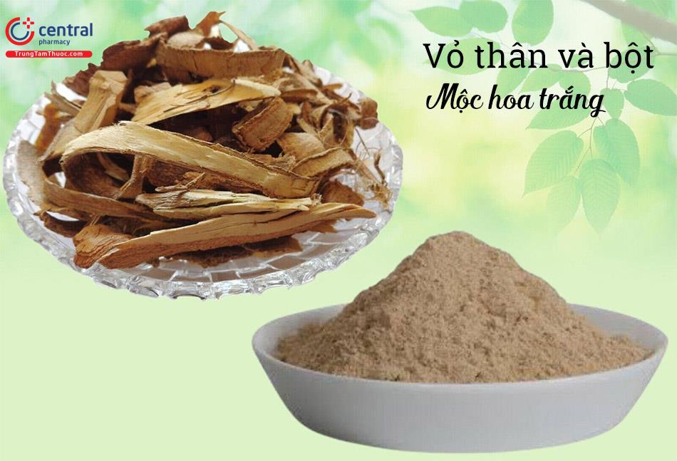 Dược liệu Mộc hoa trắng