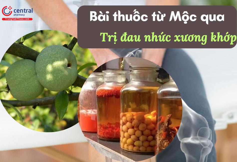 Cây Mộc qua (Chaenomeles lagenaria (Lois.) Koidz) - Vị thuốc trị đau ...