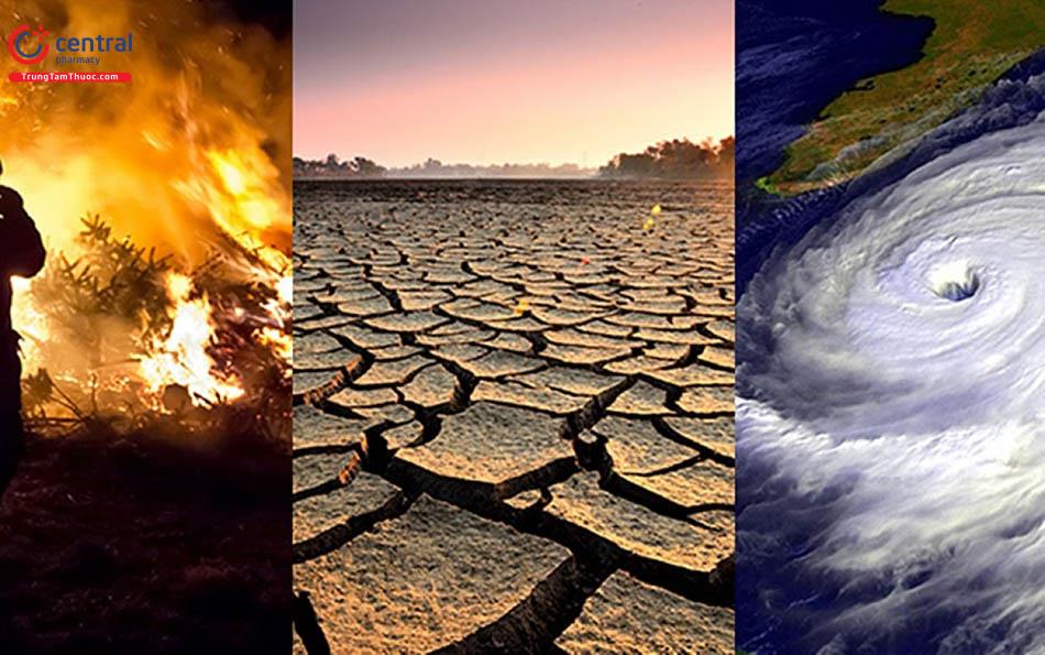 Biến đổi khí hậu là nguyên nhân gây ra 141.000 người tử vong mỗi năm 