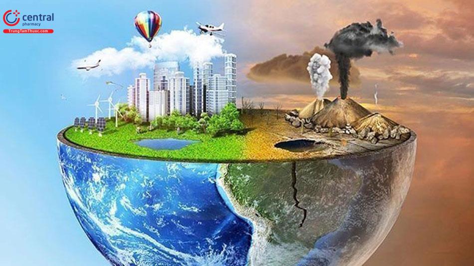 Ô nhiễm môi trường làm thay đổi trực tiếp hoặc gián tiếp các thành phần và đặc tính vật lý, hóa học, sinh học, sinh thái học của thành phần môi trường