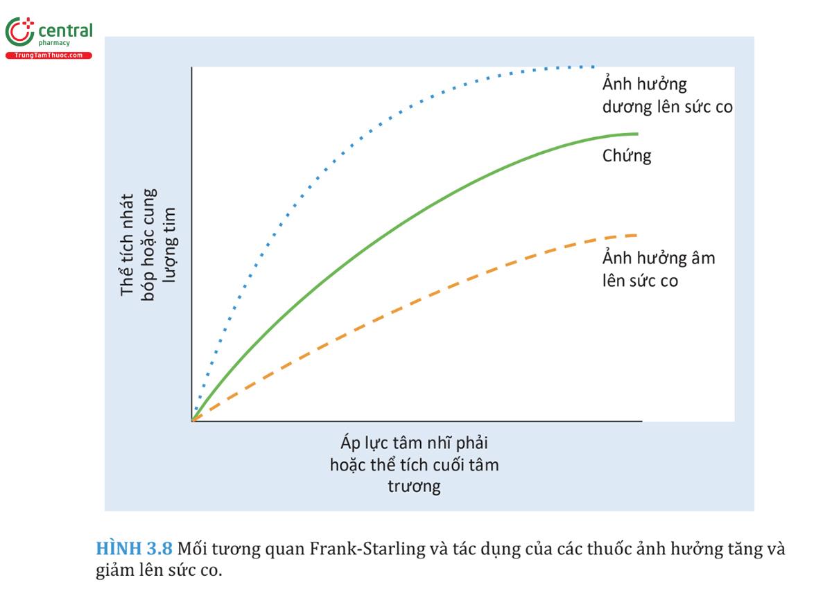 Mối tương quan Frank-Starling và tác dụng của các thuốc ảnh hưởng tăng và giảm lên sức co