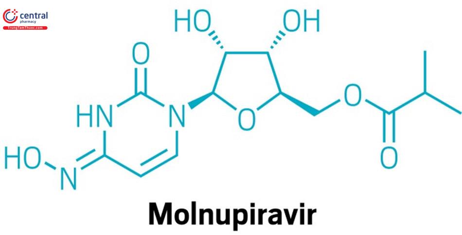 Cấu trúc hóa học của Molnupiravir