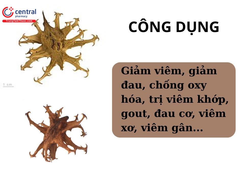 Một số công dụng