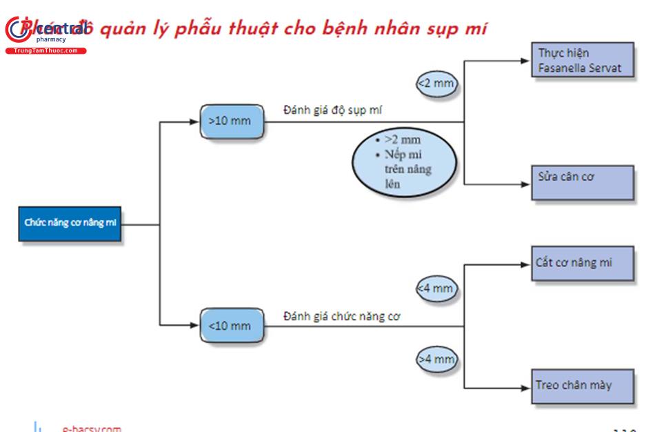 Nâng cao sự tự tin của bạn với chiếc mắt trẻ trung và rõ ràng hơn sau khi phẫu thuật sụp mi mắt. Tìm hiểu về quy trình phẫu thuật và những lợi ích nó mang lại bằng cách xem những hình ảnh liên quan đến phẫu thuật sụp mi mắt.