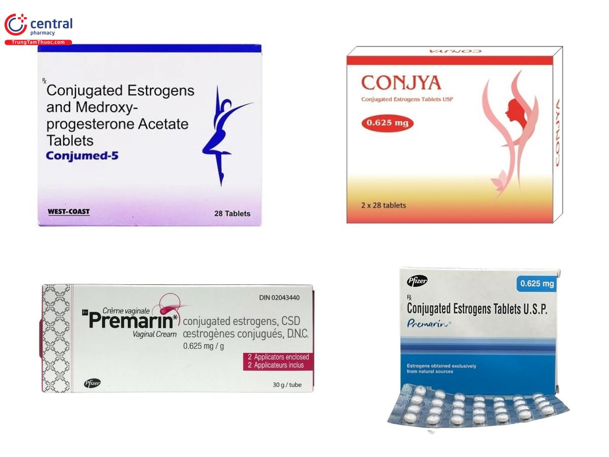 Một số chế phẩm Estrogen liên hợp
