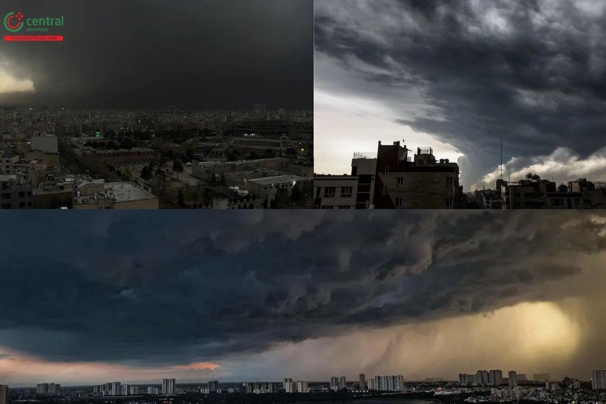 Hình ảnh mưa đen