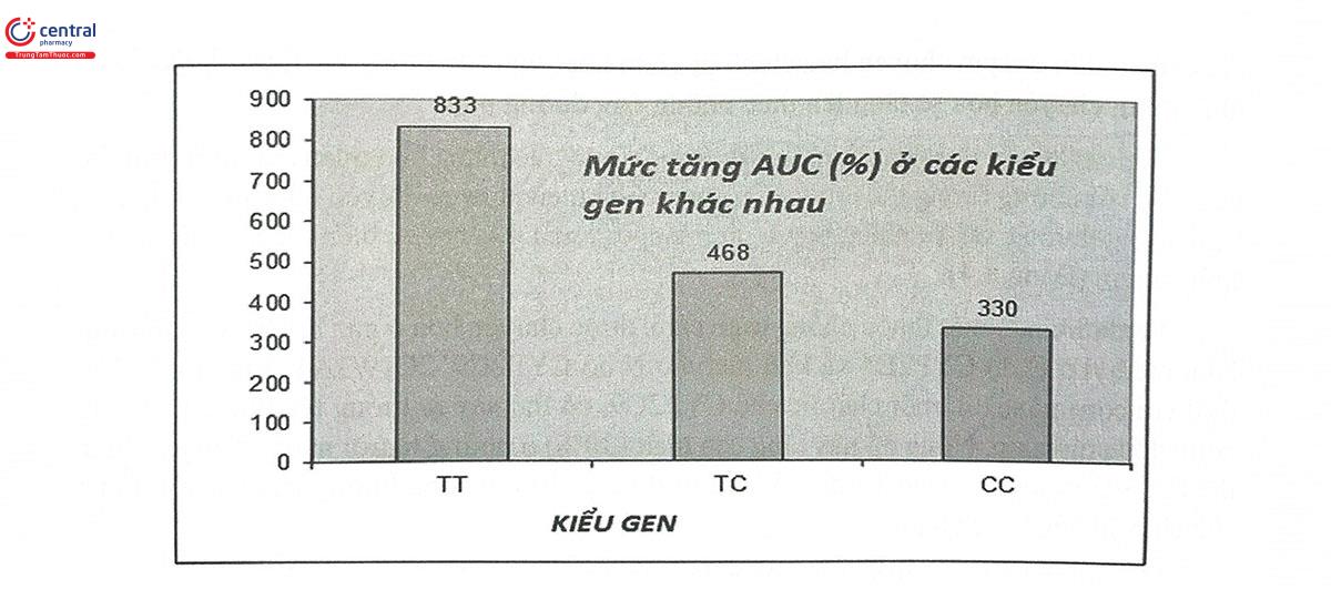 Hình 8.3. So sánh mức tăng AUC của atorvastain do tương tác thuốc với rifampicin ở những kiểu gen khác nhau