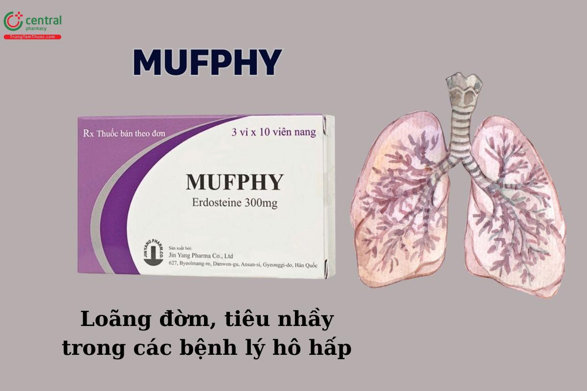 Thuốc Mufphy 300mg loãng đờm, tiêu nhầy trong các bệnh lý hô hấp