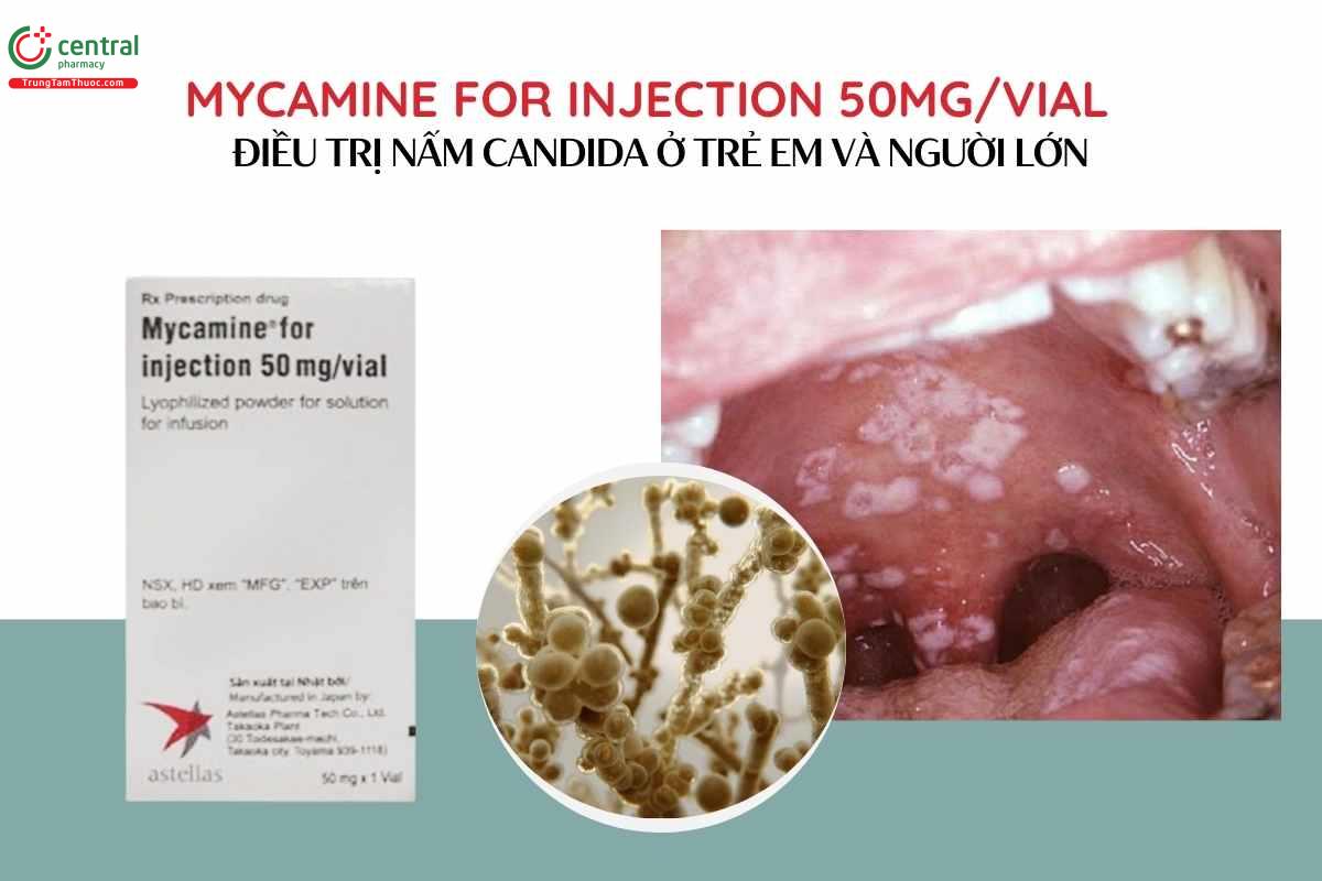Chỉ định của Mycamine for injection 50mg/vial
