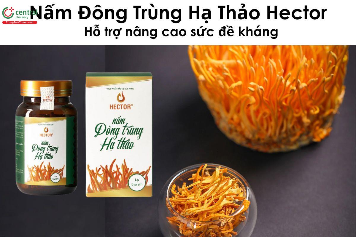 Nấm Đông Trùng Hạ Thảo Hector - Hỗ trợ nâng cao sức khỏe