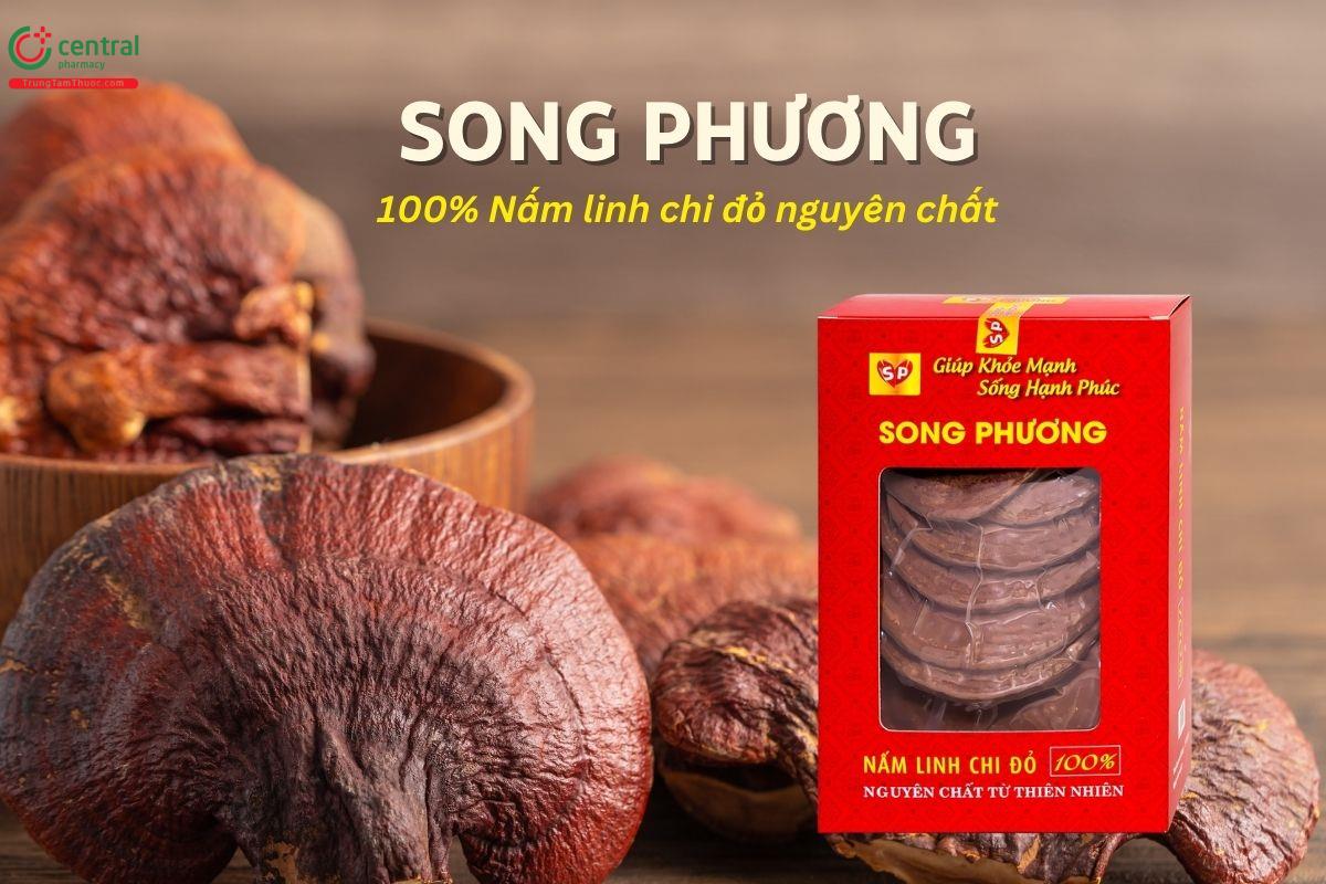 Nấm Linh Chi Song Phương giúp bồi bổ sức khỏe, tăng cường miễn dịch