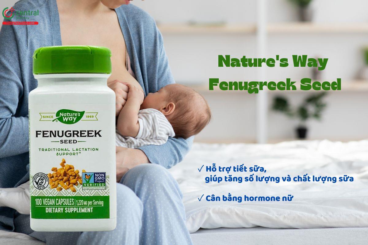 Nature's Way Fenugreek Seed - Lợi sữa, tăng chất lượng sữa