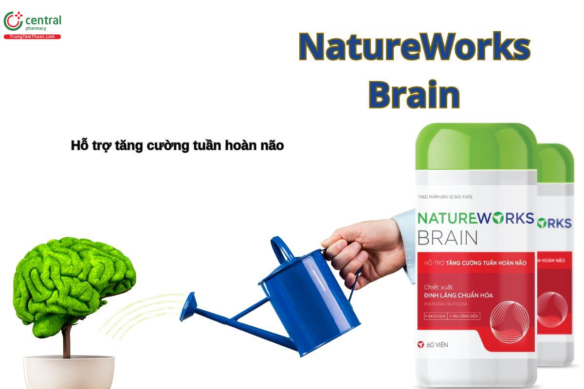 Viên uống NatureWorks Brain giúp hỗ trợ tăng cường tuần hoàn não