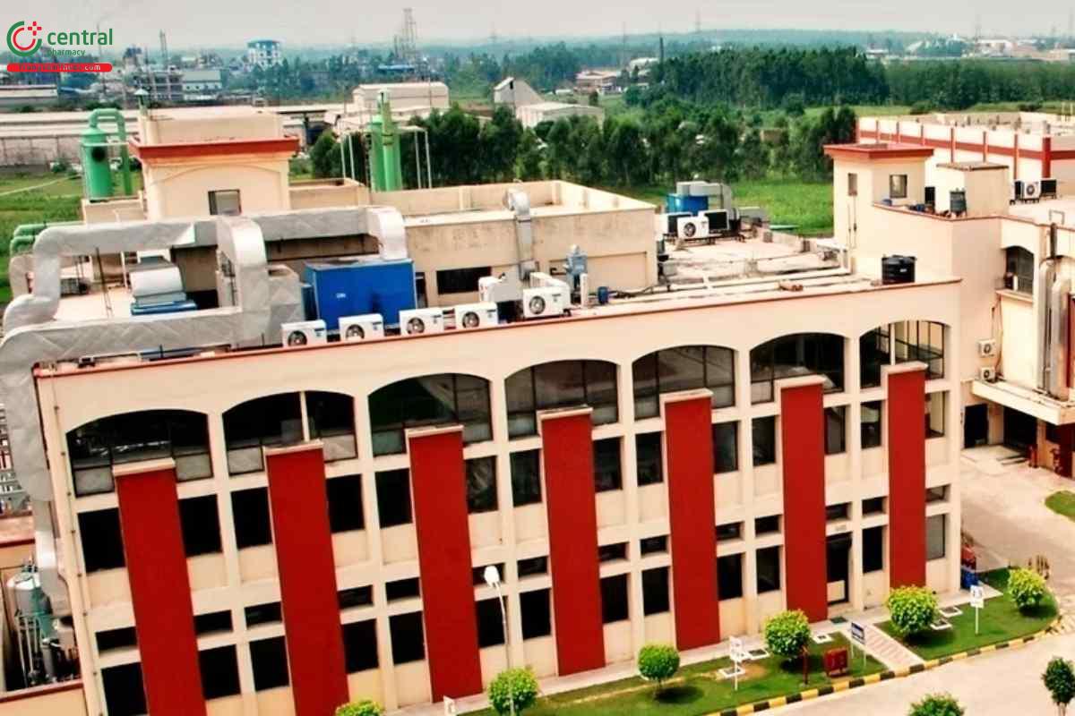 Giới thiệu công ty Nectar Lifesciences Limited