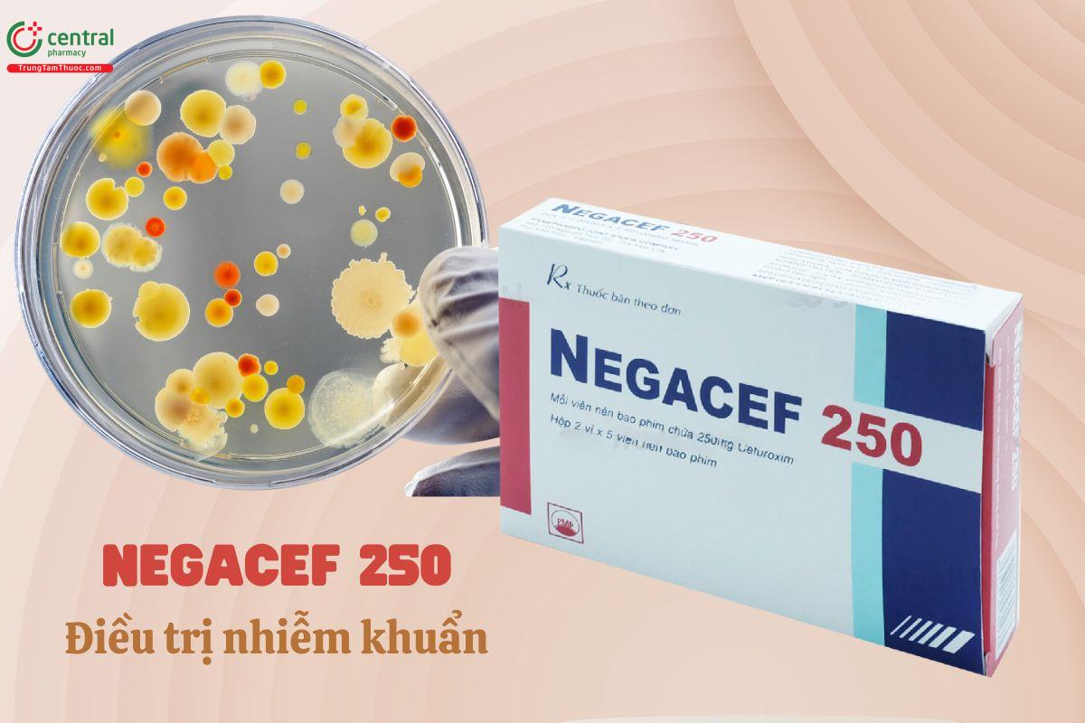 Thuốc Negacef 250mg - Kháng sinh điều trị các bệnh nhiễm khuẩn