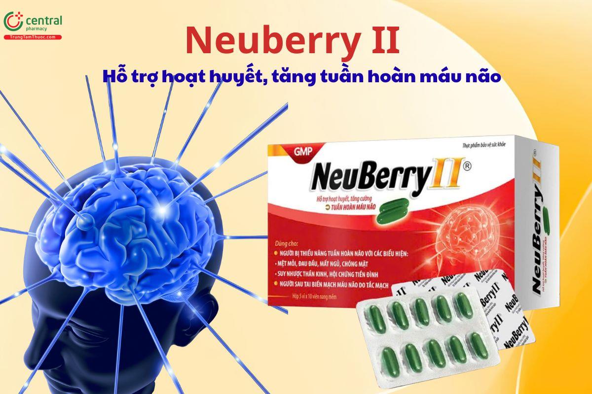 Neuberry II hỗ trợ hoạt huyết, tăng cường tuần hoàn máu não