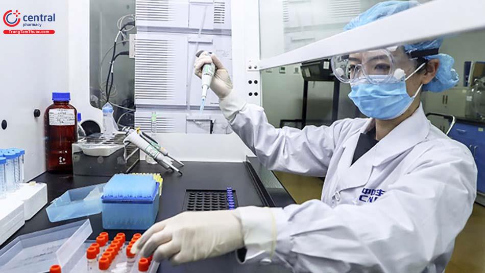 Nghiên cứu vaccin phòng bệnh Alzheimer