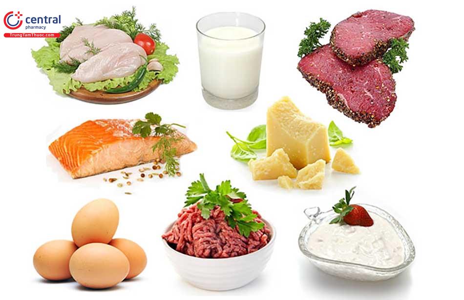 Nguồn thực phẩm giàu protein