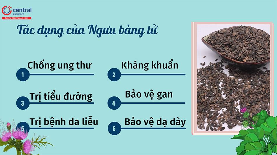 Tác dụng của Ngưu bàng tử