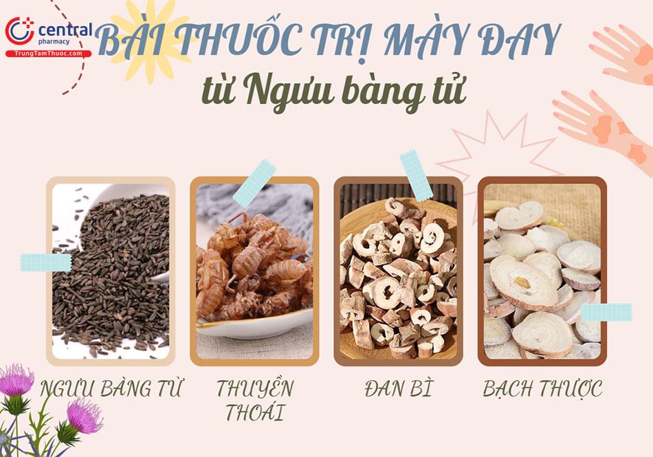 Bài thuốc trị mày đay thể phong nhiệt từ Ngưu bàng tử